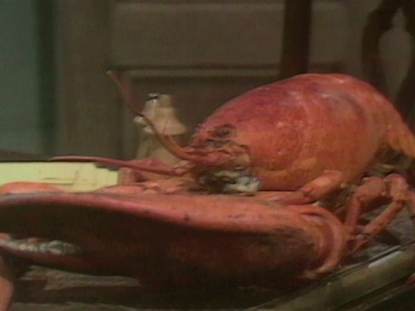 The French Chef - Lobster Show