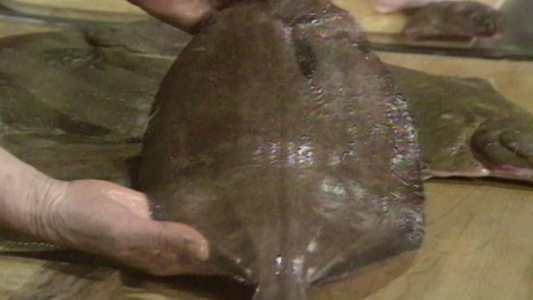 The French Chef - The Whole Fish Story