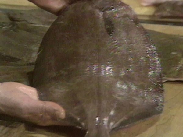 The French Chef - The Whole Fish Story