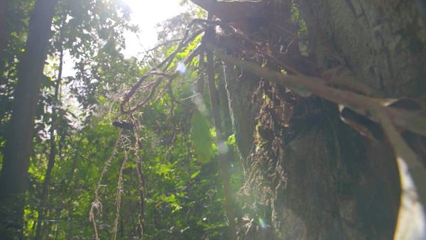 Terra Brasil - Trilhas - Lapa Grande