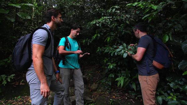 Terra Brasil - Guias - Morretes