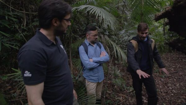 Terra Brasil - Guias - Trilha de Dezembro