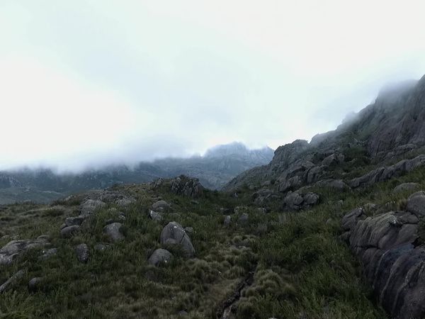 Terra Brasil - Guias - Pico do Couto