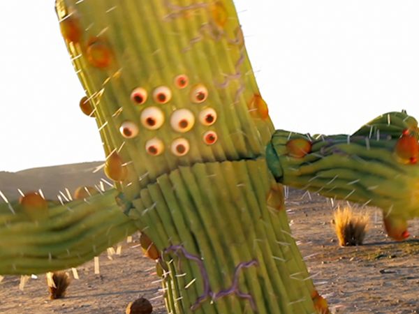 The Aquabats! Super Show! - Night Of The Cactus!