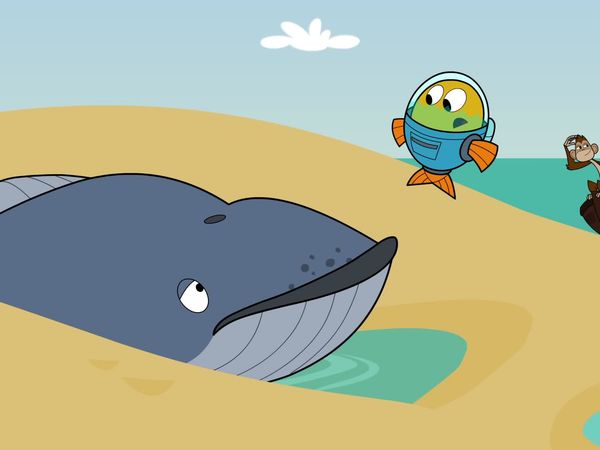 Peixonauta - O Caso do Filhote Encalhado / O Caso do Kiwi