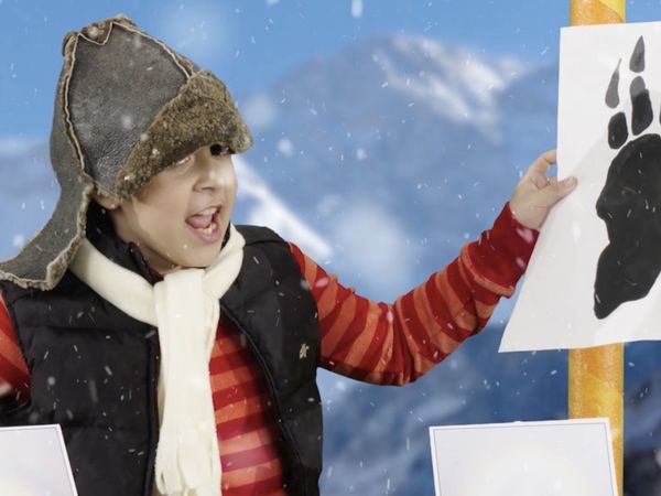 Finding Stuff Out - Extreme Cold