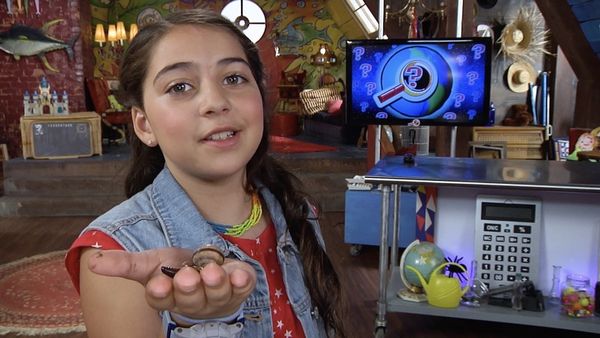 Finding Stuff Out - Squishy Animals