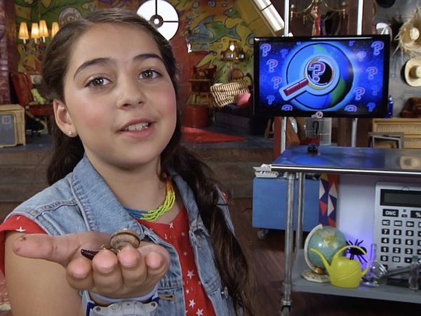 Finding Stuff Out - Squishy Animals