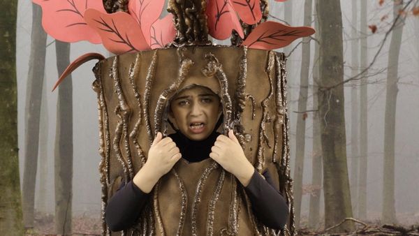 Finding Stuff Out - Into the Woods