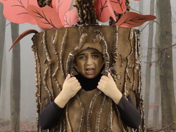 Finding Stuff Out - Into the Woods