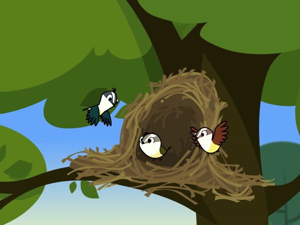 Peixonauta - O Caso do Minutinho / O Caso do Rio que sumiu