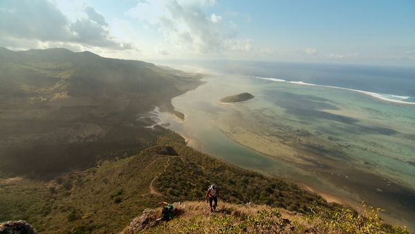 The Travel Bug - Island Special