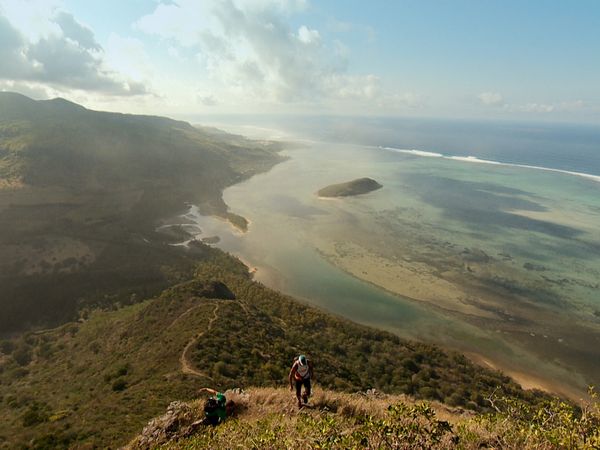 The Travel Bug - Island Special