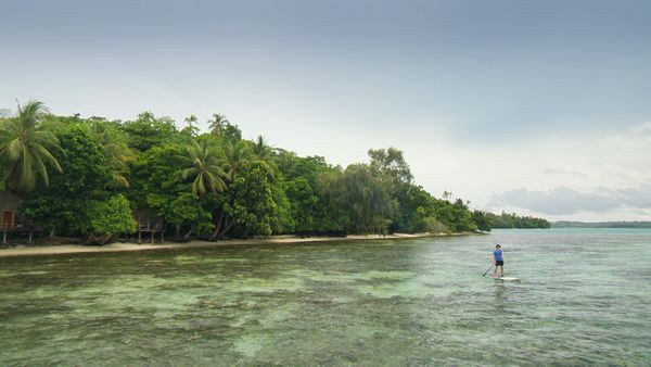 The Travel Bug - Solomon Islands, Part I