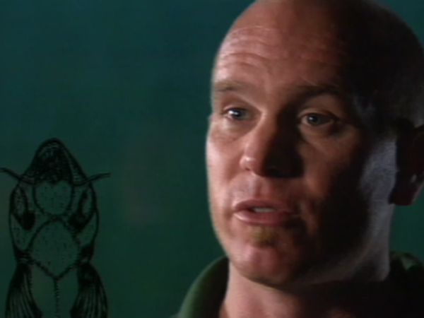 Urban Legends - Episodio 14