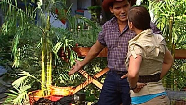 No Puede Ser - Episodio 42