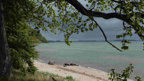 Wild Baltic Sea - Between Denmark and Latvia