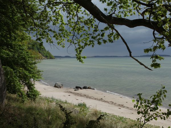 Wild Baltic Sea - Between Denmark and Latvia