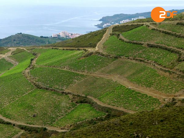 10 Winzer, Joachim Król und der Moissonnier - Vom Languedoc ins Roussillion