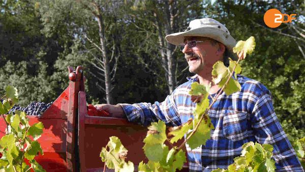 10 Winzer, Joachim Król und der Moissonnier - Von der Rhône in die Provence