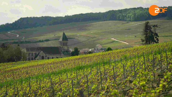 10 Winzer, Joachim Król und der Moissonnier - Von der Loire ins Elsass