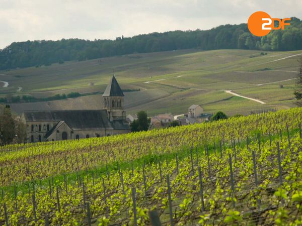10 Winzer, Joachim Król und der Moissonnier - Von der Loire ins Elsass