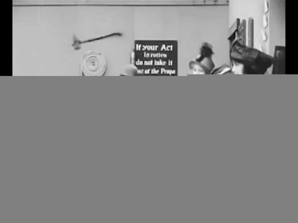 A Grande Coleção Chaplin - O Homem Da Propriedade