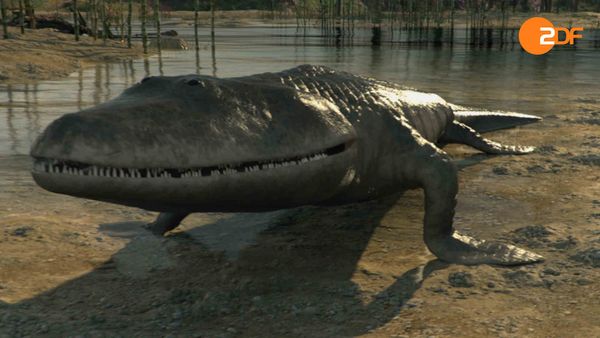 Great Moments in Evolution - The Miracle of Life