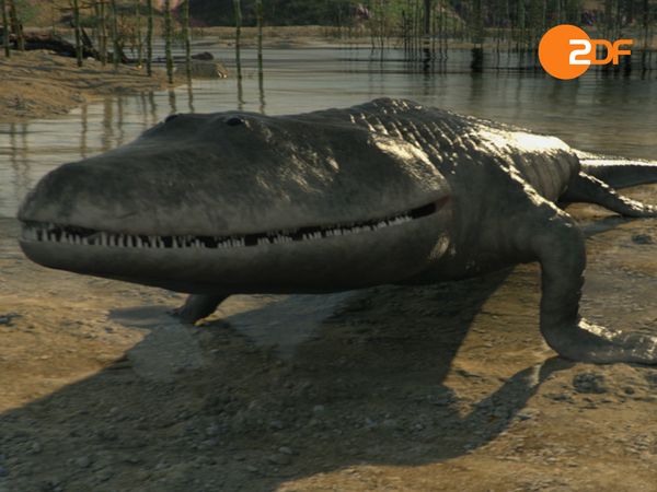 Great Moments in Evolution - The Miracle of Life