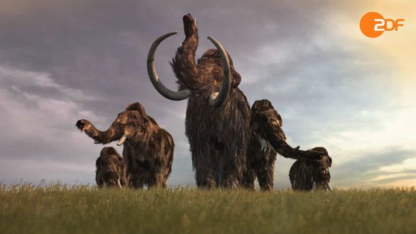 Great Moments in Evolution - Secrets of Survival