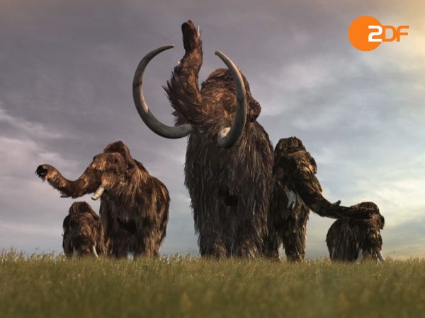 Great Moments in Evolution - Secrets of Survival