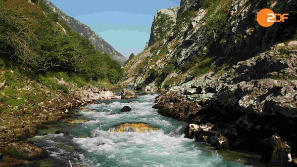 Wild Spain - The Atlantic North
