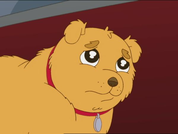 Maya & Miguel - Amor de cachorros