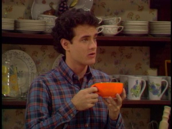 Family Ties - The Fugitive, Part 1
