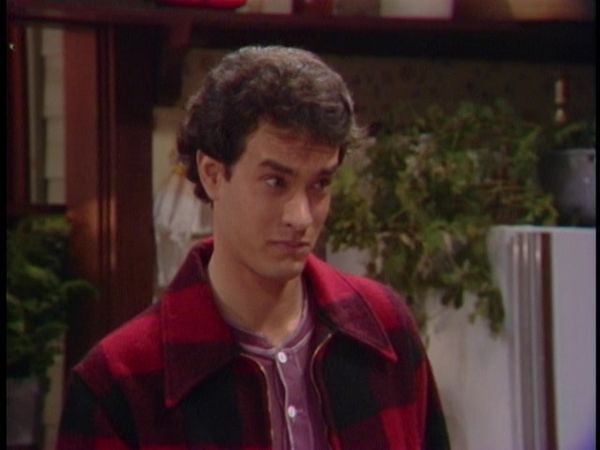 Family Ties - The Fugitive, Part 2