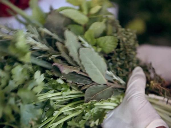 Receitas Brasil - Litoral Nordestino