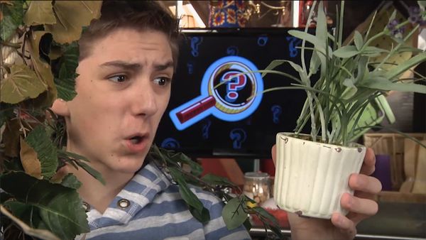 Finding Stuff Out - Plants