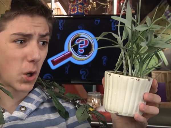 Finding Stuff Out - Plants