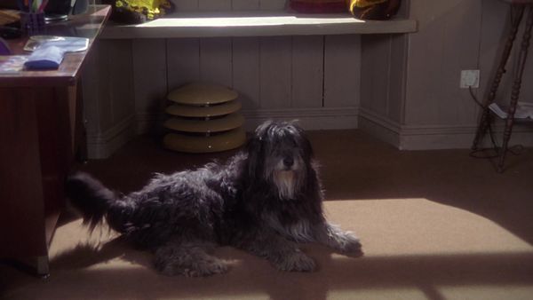 Doc Martin - En loco