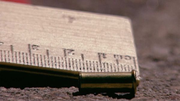 Dossiers FBI - Calibre .22