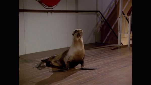 The Love Boat - Isaac's Teacher / Seal Of Approval / The Successor