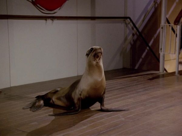 The Love Boat - Isaac's Teacher / Seal Of Approval / The Successor