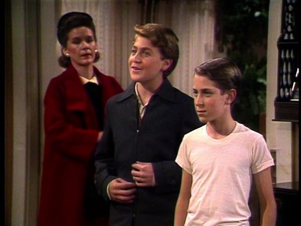 Family Ties - Remembrance of Things Past: Part 2