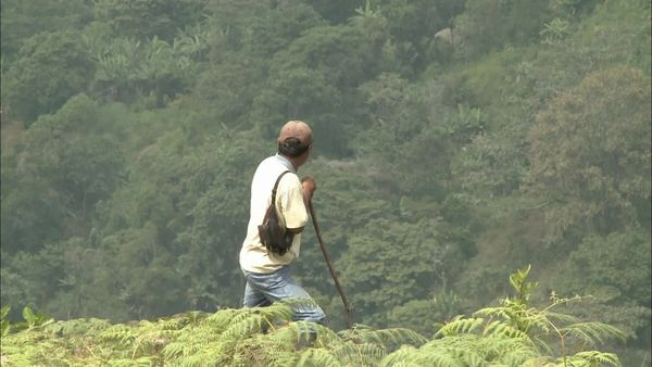 Las personas de las montañas - Los Indígenas de Corinto - Colombia