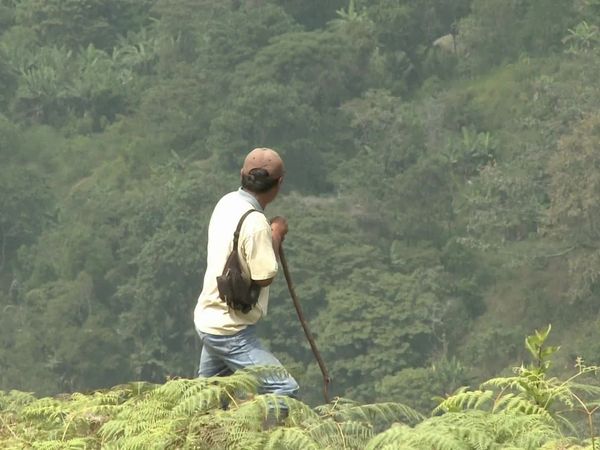Las personas de las montañas - Los Indígenas de Corinto - Colombia