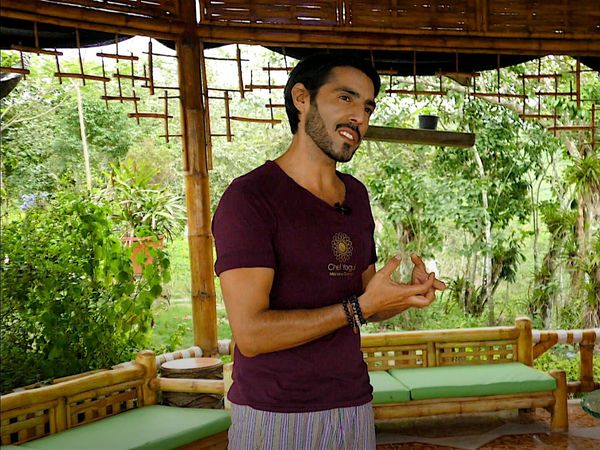 Del Huerto a la Mesa - Yogicarts
