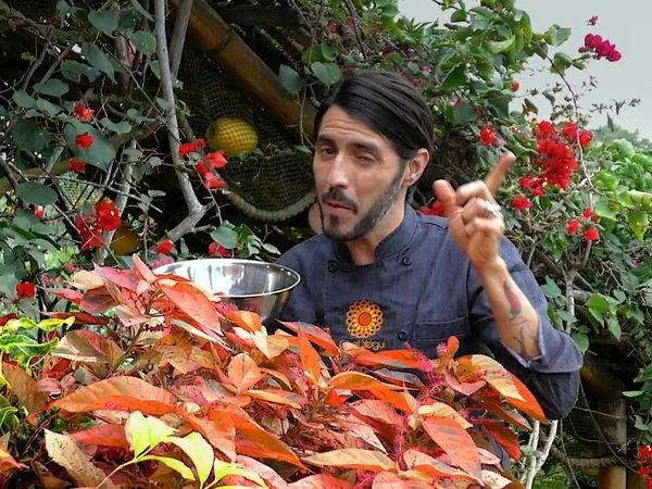 Del Huerto a la Mesa - Sal especiada
