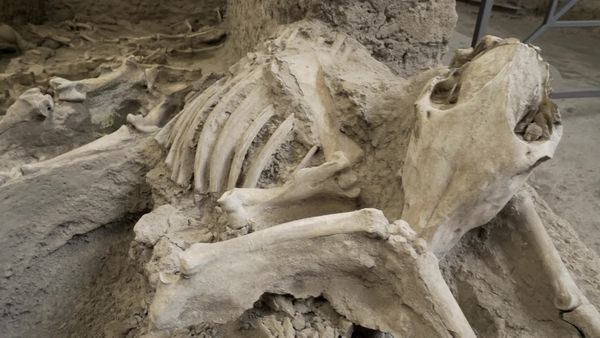 Fechas que Hicieron Historia - Agosto 24 79: La destrucción de Pompeya
