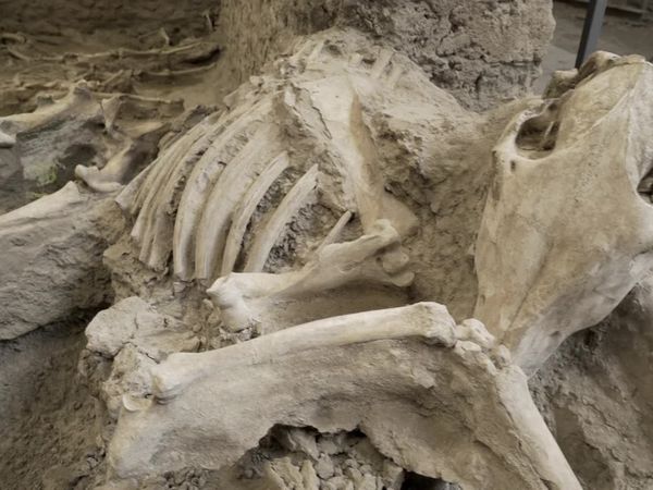 Fechas que Hicieron Historia - Agosto 24 79: La destrucción de Pompeya