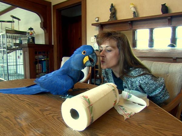 Wild Moments - Funny Encounters